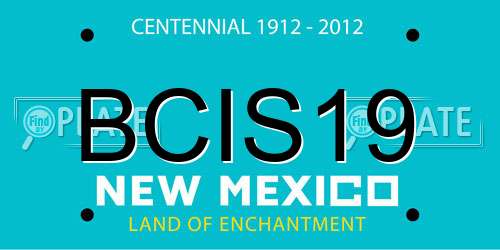 BCIS19 New Mexico License Plate