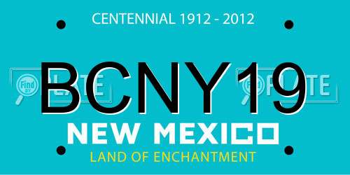 BCNY19 New Mexico License Plate