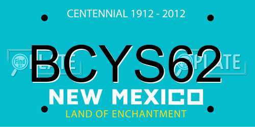 BCYS62 New Mexico License Plate