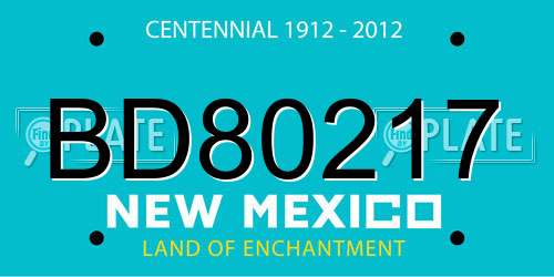 BD80217 New Mexico License Plate