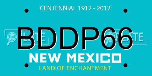 BDDP66 New Mexico License Plate
