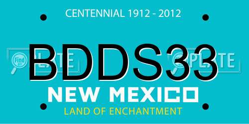 BDDS33 New Mexico License Plate