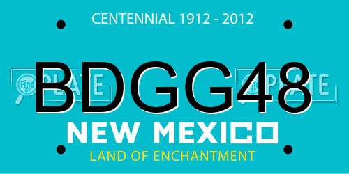 BDGG48 New Mexico License Plate