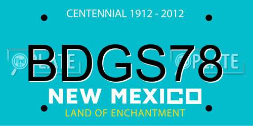 BDGS78 New Mexico License Plate
