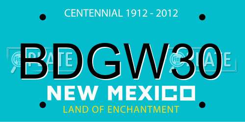 BDGW30 New Mexico License Plate