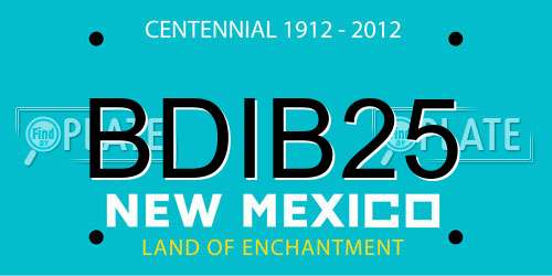 BDIB25 New Mexico License Plate