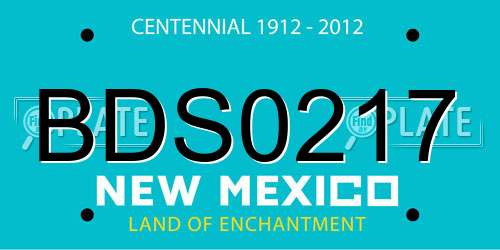 BDS0217 New Mexico License Plate
