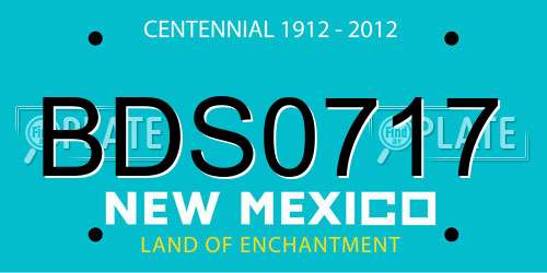 BDS0717 New Mexico License Plate