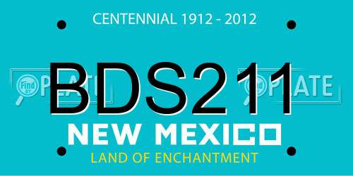 BDS211 New Mexico License Plate
