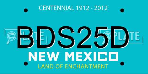 BDS25D New Mexico License Plate