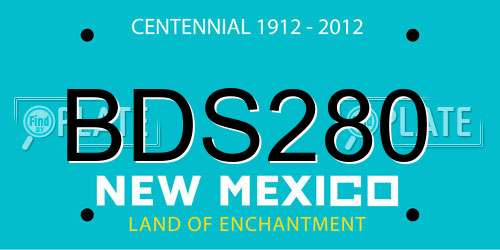 BDS280 New Mexico License Plate