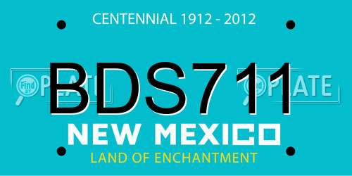 BDS711 New Mexico License Plate