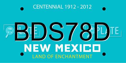 BDS78D New Mexico License Plate
