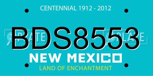 BDS8553 New Mexico License Plate
