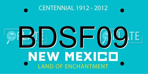 BDSF09 New Mexico License Plate
