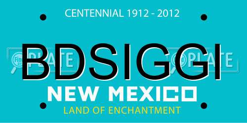BDSIGGI New Mexico License Plate