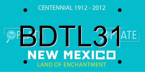 BDTL31 New Mexico License Plate