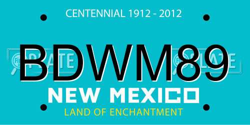 BDWM89 New Mexico License Plate