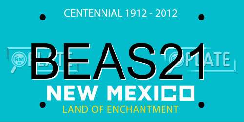 BEAS21 New Mexico License Plate