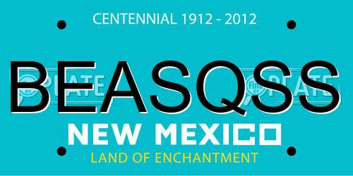 BEASQSS New Mexico License Plate