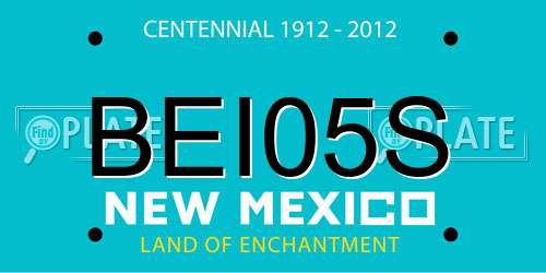 BEI05S New Mexico License Plate