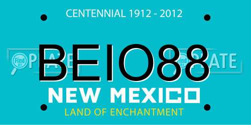 BEIO88 New Mexico License Plate