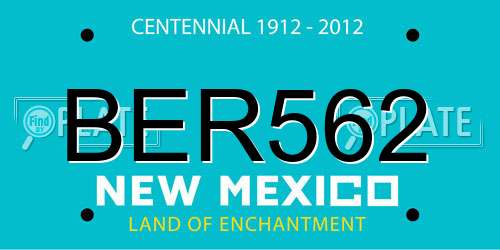 BER562 New Mexico License Plate