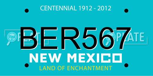 BER567 New Mexico License Plate