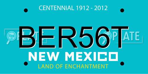 BER56T New Mexico License Plate