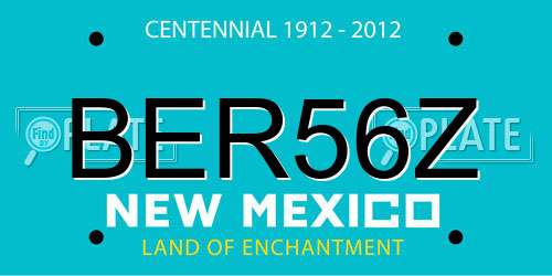 BER56Z New Mexico License Plate