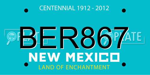 BER867 New Mexico License Plate