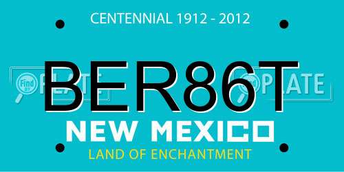 BER86T New Mexico License Plate