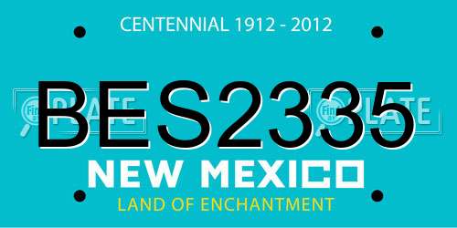 BES2335 New Mexico License Plate