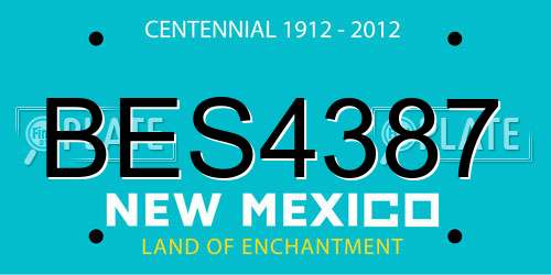 BES4387 New Mexico License Plate