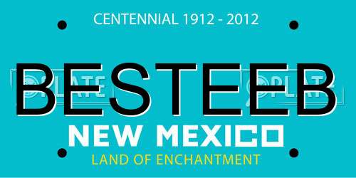 BESTEEB New Mexico License Plate
