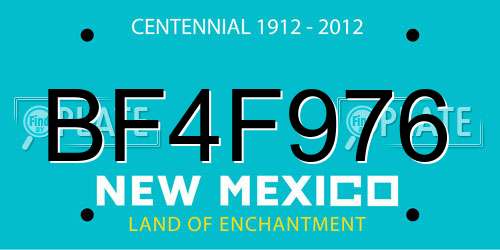 BF4F976 New Mexico License Plate