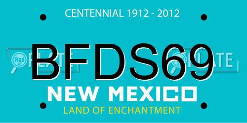 BFDS69 New Mexico License Plate