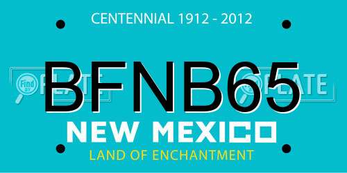 BFNB65 New Mexico License Plate