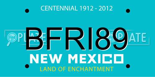 BFRI89 New Mexico License Plate
