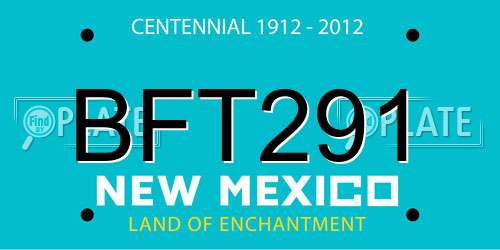 BFT291 New Mexico License Plate