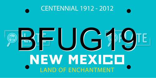 BFUG19 New Mexico License Plate