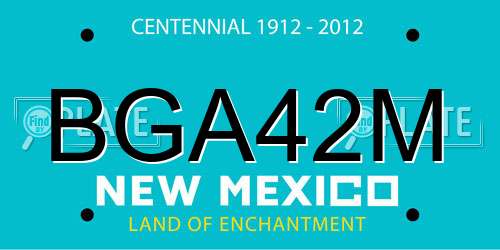 BGA42M New Mexico License Plate