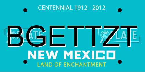 BGETTZT New Mexico License Plate