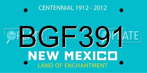 BGF391 New Mexico License Plate