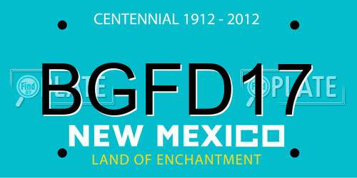 BGFD17 New Mexico License Plate