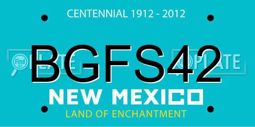 BGFS42 New Mexico License Plate