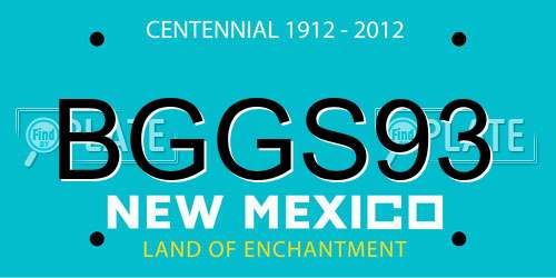 BGGS93 New Mexico License Plate