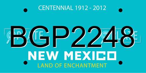 BGP2248 New Mexico License Plate