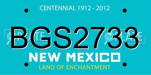 BGS2733 New Mexico License Plate