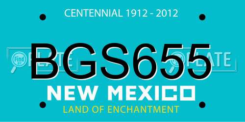 BGS655 New Mexico License Plate